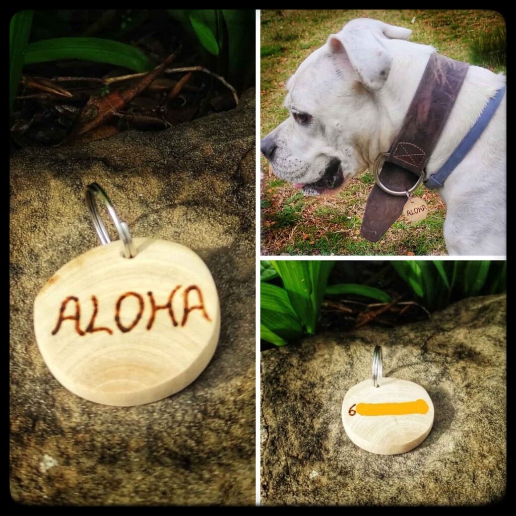 Placa perro plana identificativa